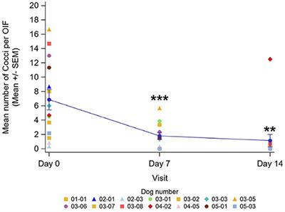 Performance of Daily Pads Containing Ophytrium and Chlorhexidine Digluconate 3% in Dogs With Local Cutaneous Bacterial and/or Malassezia Overgrowth